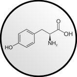 L-Tyrosin
